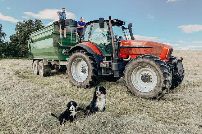 zemědělské služby